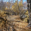 ���� ����, ���������� - ��������� 29 �������� 2014 � ������ ��������, "�������"�