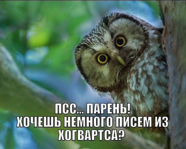 ��������������������!!!