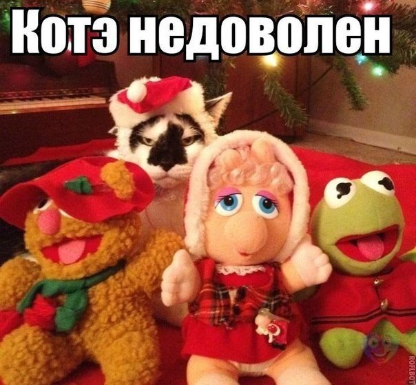  - 9  2014  12:54