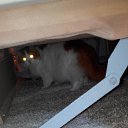 ���� �����, �����, 36 ��� - ��������� 2 ������ 2014 � ������ ������ ��������