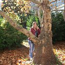 ���� �������, ��������, 43 ���� - ��������� 17 ������� 2014 � ������ ���� ����������