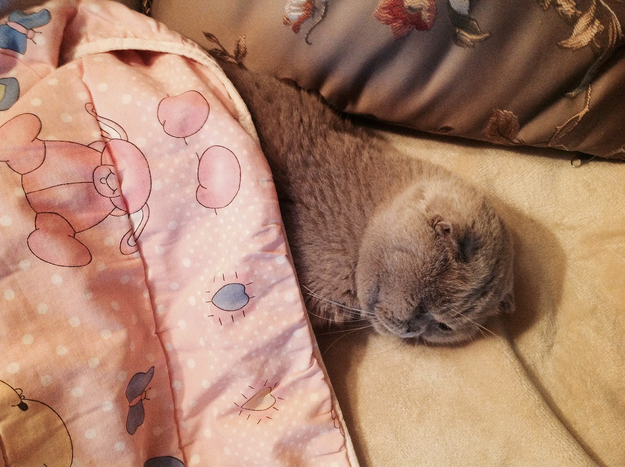  ^^
