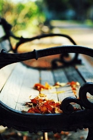   - 17  2014  11:22 - 2