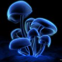 ���� ���������, ��������� - ��������� 23 �������� 2014 � ������ ���� ����������