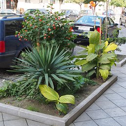 Solvejga, �������, 58 ���