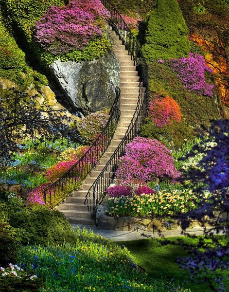   (Butchart Gardens, , ).  (Butchart Gardens)   ... - 6