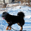 ���� Leonid, ������������, 55 ��� - ��������� 22 ������� 2014 � ������ ���� ����������