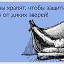 ���� ���, �����-��������� - ��������� 24 ������� 2014 � ������ ������ ��������