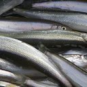 ������� �� ������� ���� ����������