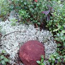 ����� �������. �� ������� ������ 2014�