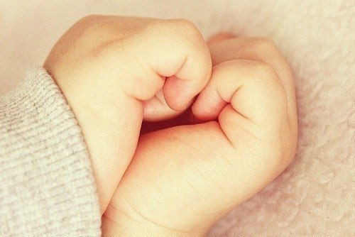 Смысл жизни — оставить после себя жизнь.