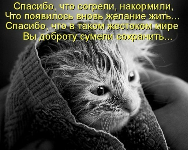       - 24  2014  02:31