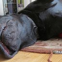 ���� ���������, ������, 54 ���� - ��������� 14 �������� 2014 � ������ ������ ��������