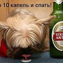 ���� �����, ������������, 47 ��� - ��������� 10 ������ 2014 � ������ ������ ��������