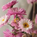 ���� ���������, ����� - ��������� 20 ������� 2014 � ������ ���� ����������