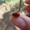 � ������� �� ������� ���� ����������