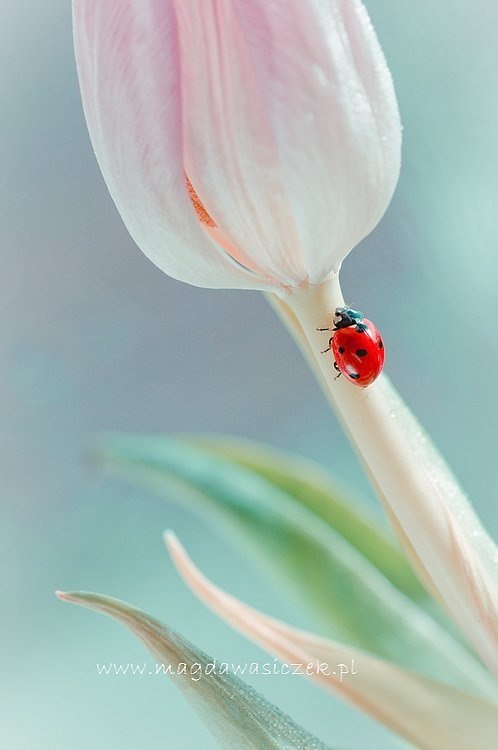   ,   - ;   ,    ... - 3