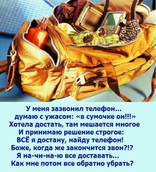 Женская сумочка. История в 6 картинках, читать последовательно :)
