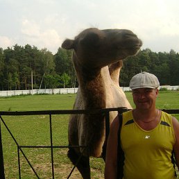 ���� ����