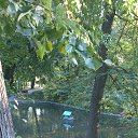 ���� ��op�, ����, 44 ���� - ��������� 15 ������� 2014 � ������ ������������ � ���������� ( �. ����� ������� )�