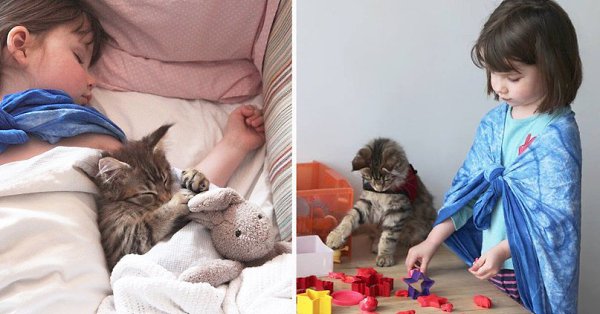5-летняя художница-аутист Айрис Грейс из Великобритании и ее дружба с лечащим котом породы мейн-кун ... - 6