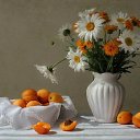 ���� �����, ��������� - ��������� 19 ������� 2014 � ������ ��� �� �����