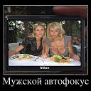 ���� ���������, ������-��-����, 52 ���� - ��������� 4 ������ 2014 � ������ ������ ��������
