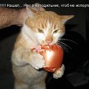 ���� �����, �������� - ��������� 10 ������ 2014 � ������ ������ ��������