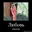 ���� ������, �������, 56 ��� - ��������� 6 ������� 2014 � ������ ������ ��������