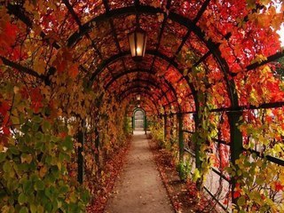 ...����� ��� ����� �������� ��� � ������� - 3