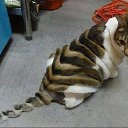 ���� ������, �����-���������, 52 ���� - ��������� 15 ������ 2014 � ������ ������ ��������