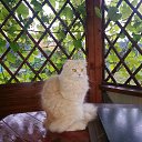 ���� ������, ������, 70 ��� - ��������� 10 ������� 2014 � ������ ���� ����������