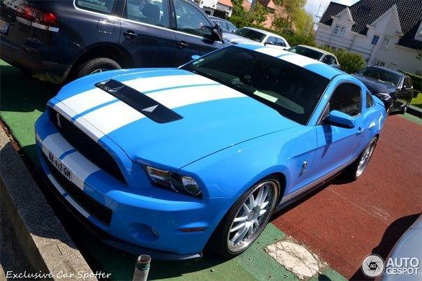 Shelby GT500, 2011. - 7