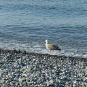 ���� �������, ������ - ��������� 1 ������� 2014 � ������ ���� ����������