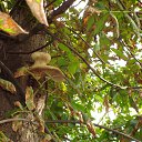  Stas, , 65  -  1  2014    