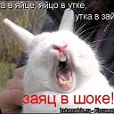���� ������, ����, 37 ��� - ��������� 5 ������� 2014 � ������ ������ ��������