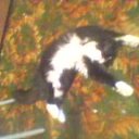 ���� ������, �����-���������, 46 ��� - ��������� 19 ������� 2014 � ������ ������ ��������