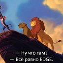 ���� �����, ���������� �����, 33 ���� - ��������� 13 ������ 2014 � ������ ������ ��������