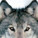 ���� �����, �������������, 47 ��� - ��������� 17 �������� 2014 � ������ ���� ����������