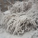���� Liana, �����������, 45 ��� - ��������� 1 ������� 2014 � ������ ������ ��������