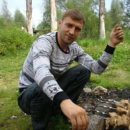 ����, ������� ��������, 44 ����