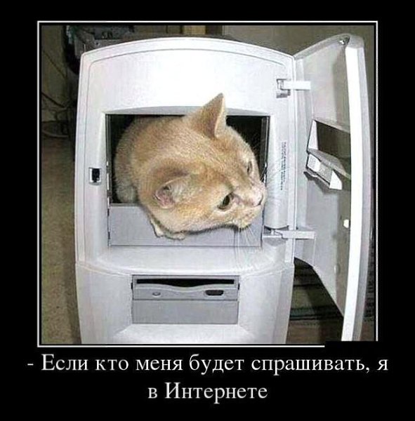 ��Z����! - 1 ������� 2014 � 23:02