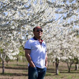 ���� Pevril, ������, 54 ���� - ��������� 4 ������ 2014