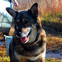 ���� ����� ���������, �������, 33 ���� - ��������� 1 ������� 2014 � ������ ���� ����������