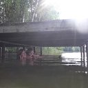 ���� ������, �����������, 44 ���� - ��������� 28 ������� 2014 � ������ ���� ����������