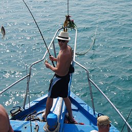 Nesson, ���������, 40 ���
