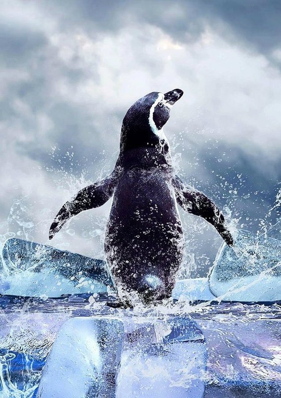 ����� ������� - 3 ������ 2014 � 15:08 - 3