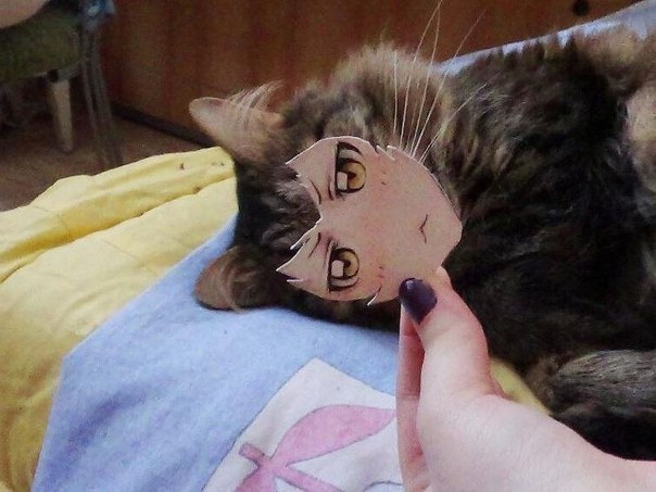 ,    ...