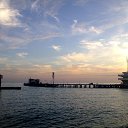 ������� ���� "�����" �� ������� ������ - ������� �������