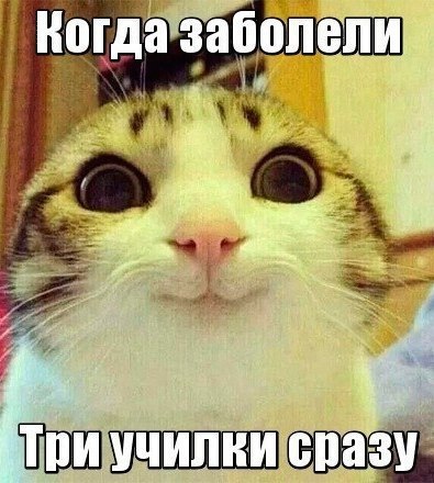 -....